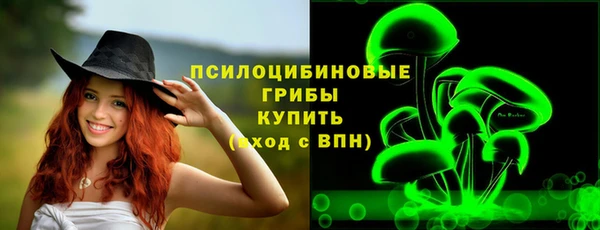 твердый Бронницы