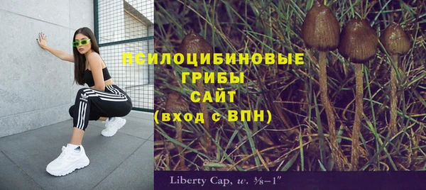 соль курить ск Богородск