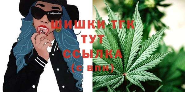 твердый Бронницы