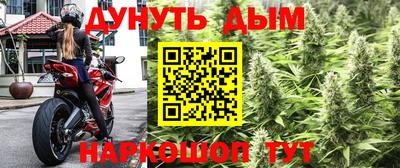 эйфоретик Абакан
