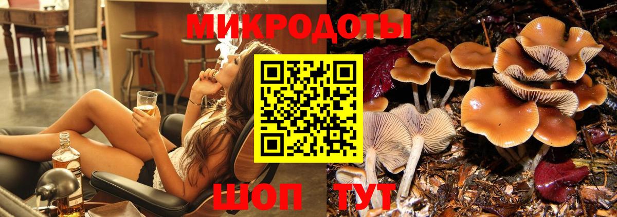 Псилоцибиновые грибы мицелий Бузулук