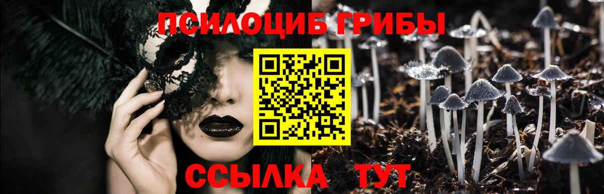 цена   Галлюциногенные грибы Magic Shrooms  Галлюциногенные грибы прущие грибы  Вход с VPN  Бузулук 